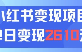 利用小红书卖资料单日引流150人当日变现2610元小白可实操(教程+资料)-91集赚创业网