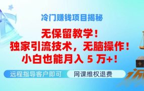 冷门赚钱项目无保留教学!独家引流技术,无脑操作!小白也能月入5万+!-91集赚创业网
