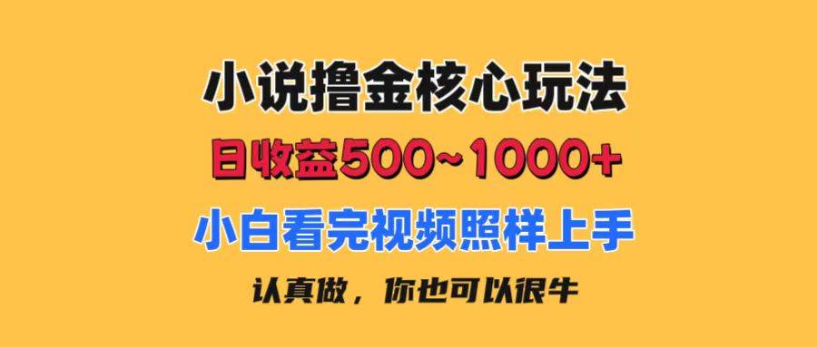 小说撸金核心玩法，日收益500-1000+，小白看完照样上手，0成本有手就行-91集赚创业网