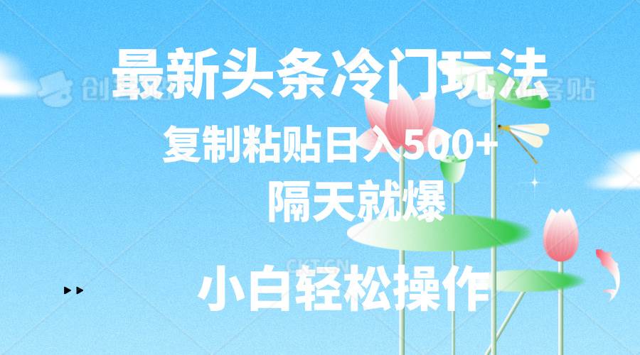 最新头条冷门玩法，隔天就爆，复制粘贴日入500+-91集赚创业网