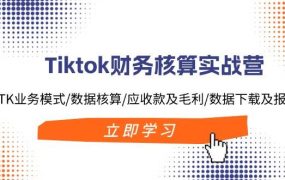 Tiktok财务核算实战营：TK业务模式/数据核算/应收款及毛利/数据下载及报表-91集赚创业网