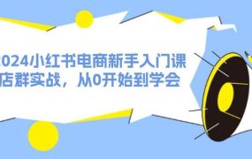 2024小红书电商新手入门课,店群实战,从0开始到学会(31节)-91集赚创业网