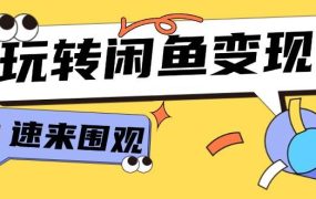 从0到1系统玩转闲鱼变现，教你核心选品思维，提升产品曝光及转化率-15节-91集赚创业网