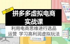 拼多多虚拟电商实战课：利用电商思维进行选品+运营，学习高利润虚拟玩法-91集赚创业网