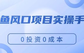 闲鱼风口项目实操手册，0投资0成本，让你做到，月入过万，新手可做-91集赚创业网