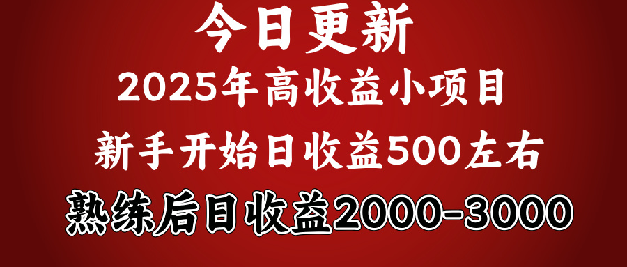2025开年好项目，新手日收益500+ 熟练掌握后，日收益平均2000多-91集赚创业网