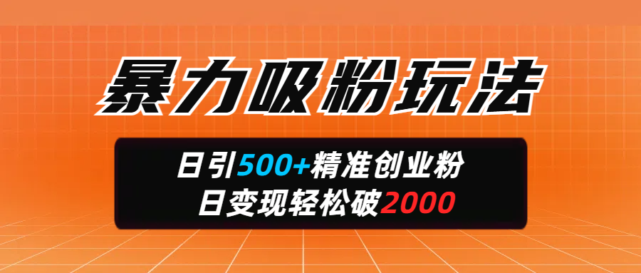 暴力吸粉玩法，日引500+精准创业粉，日变现轻松破2000-91集赚创业网