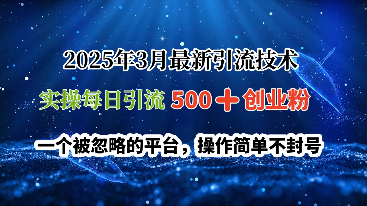 2025年3月最新引流技术，实操每日引流500➕创业粉，一个被忽略的平台，操作简单不封号-91集赚创业网