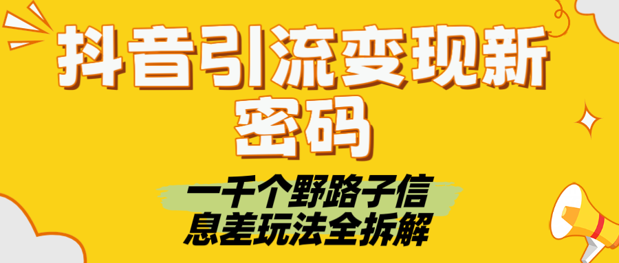 抖音引流变现新密码！一千个野路子信息差玩法全拆解-91集赚创业网