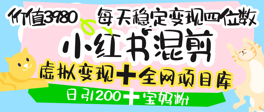 价值3980的小红书混剪, 虚拟变现 +全网项目库 , 日引200+宝妈创业粉,每天稳定四位数变现-91集赚创业网