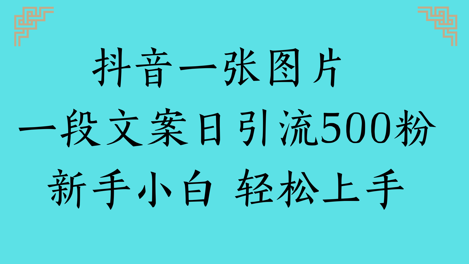 抖音一张图片 一段文案日引流500粉新手小白 轻松上手-91集赚创业网