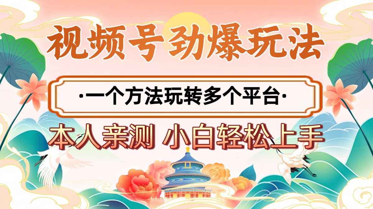 2025年视频号劲爆玩法，一个方法玩转多个平台 小白也能轻松上手-91集赚创业网