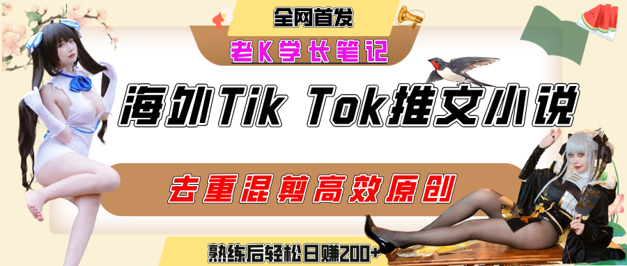 海外tiktok小说推文暴力项目，高停留率，高转化率，上手后一天搞顿饭钱不是问题-91集赚创业网