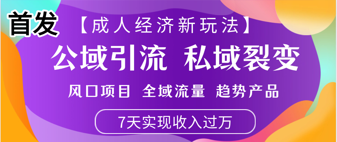 首发：【成人经济新玩法】市面独家玩法，风口项目、全域流量、趋势产品，7天实现月入过万-91集赚创业网