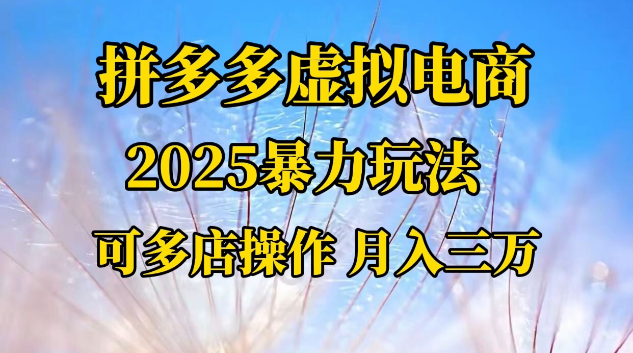 拼多多虚拟电商，不囤货不垫资的虚拟电商-91集赚创业网