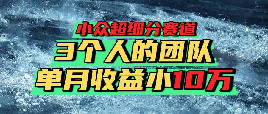 小众超细分赛道，一年百万利润的盘子！-91集赚创业网