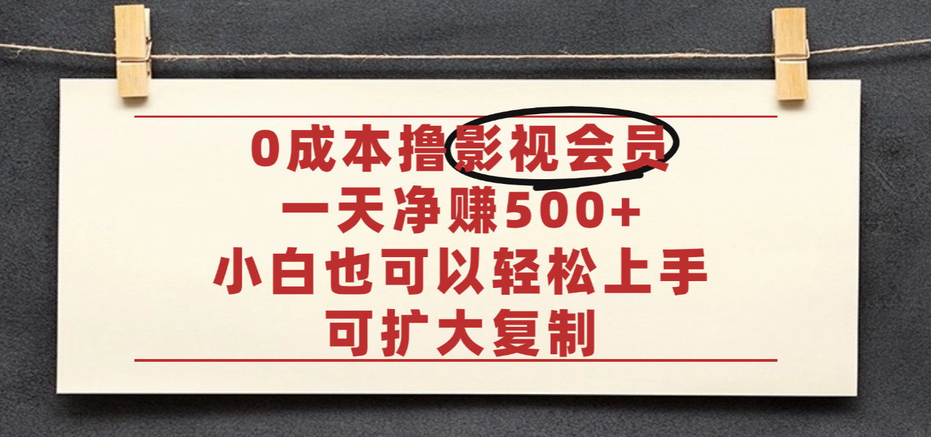 亲测,0成本可批量操作,靠卖影视会员实测月入30000+-91集赚创业网