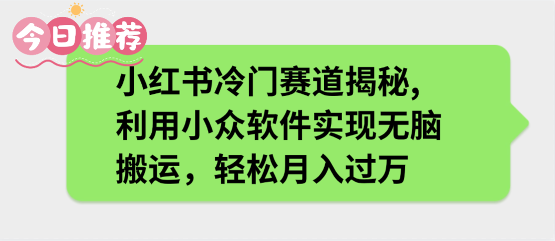 小红书冷门赛道揭秘,利用小众软件实现无脑搬运，轻松月入过万-91集赚创业网