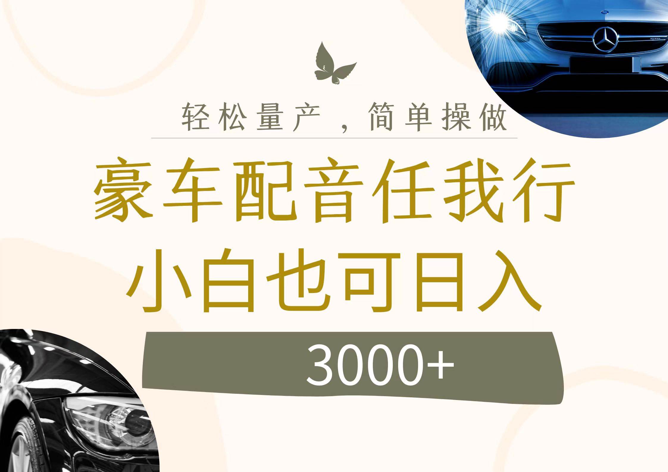 不为人知的暴力小项目，豪车配音，日入3000+-91集赚创业网